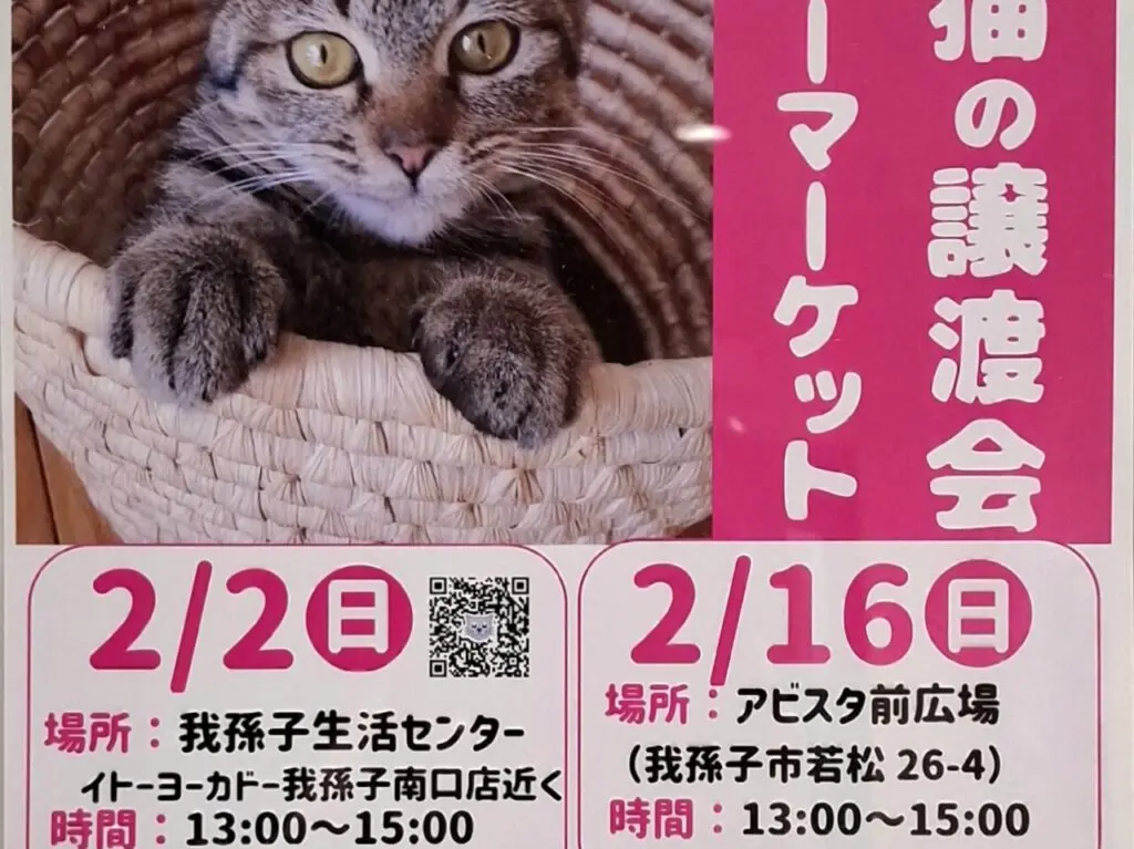 2月に開催されるねこ友会の保護猫の譲渡会