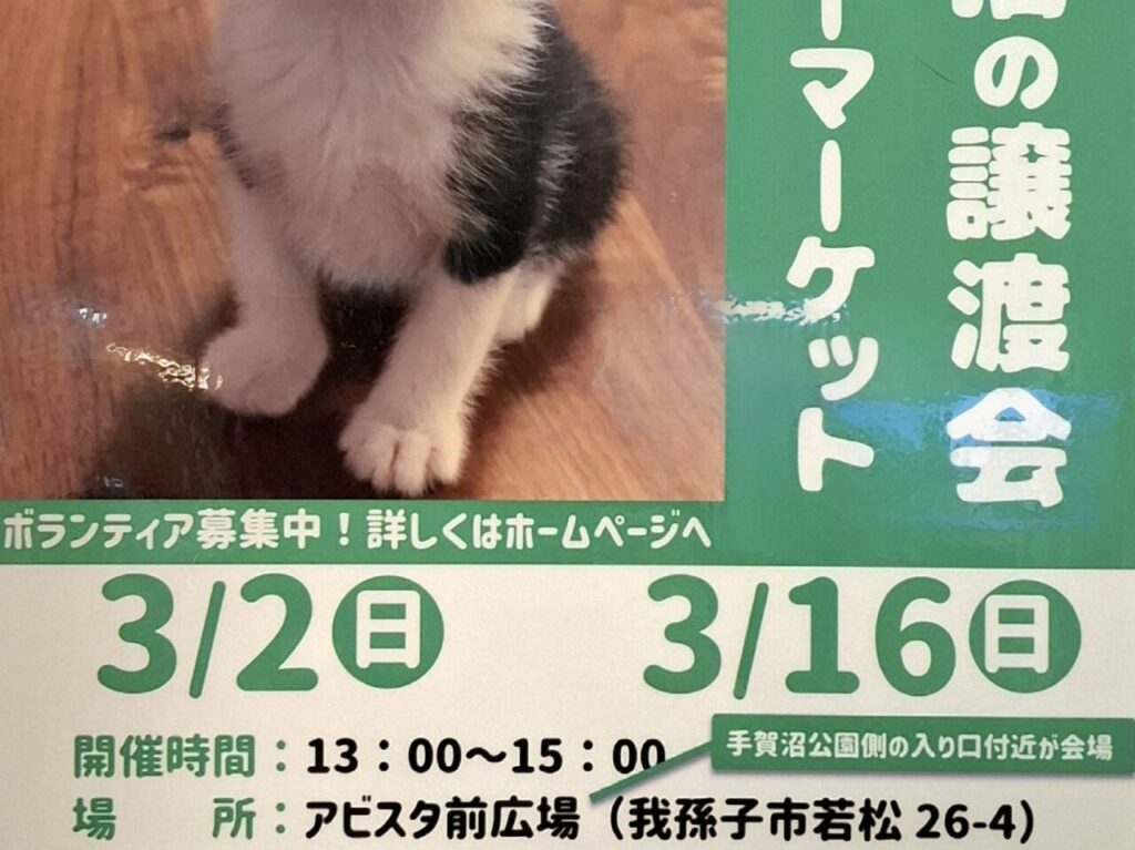 3月に開催される「保護猫の譲渡会とフリーマーケット」チラシ