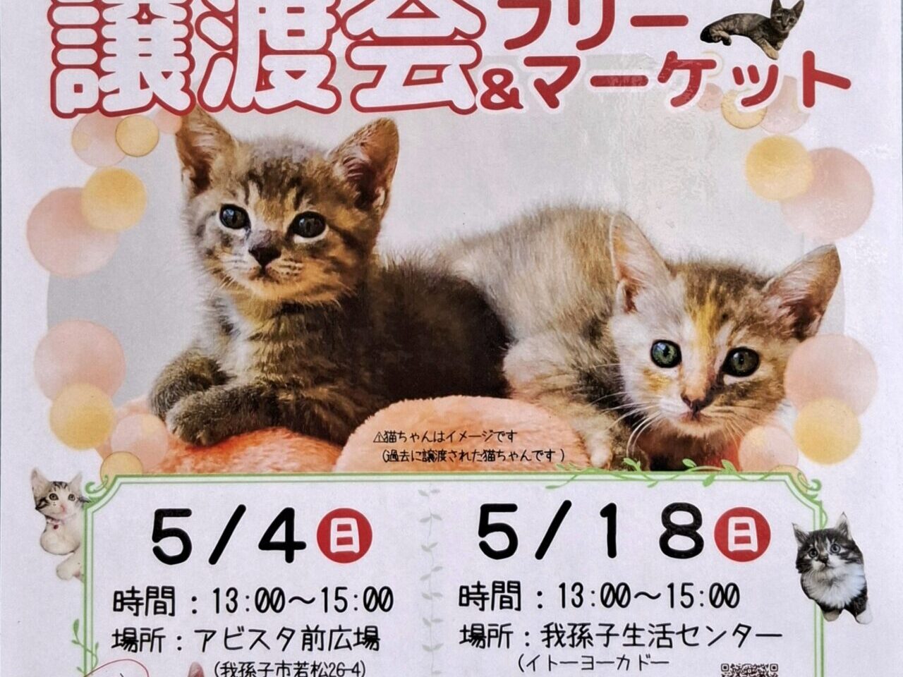 保護猫の譲渡会とフリーマーケット