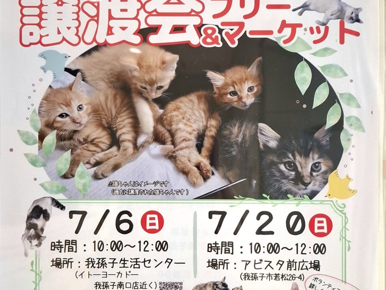 保護猫の譲渡会&フリーマーケット