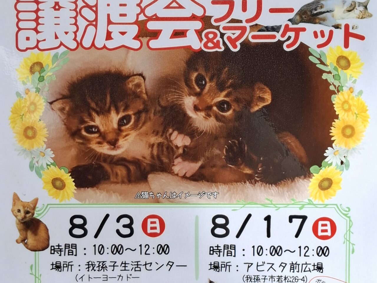 保護猫の譲渡会とフリーマーケット