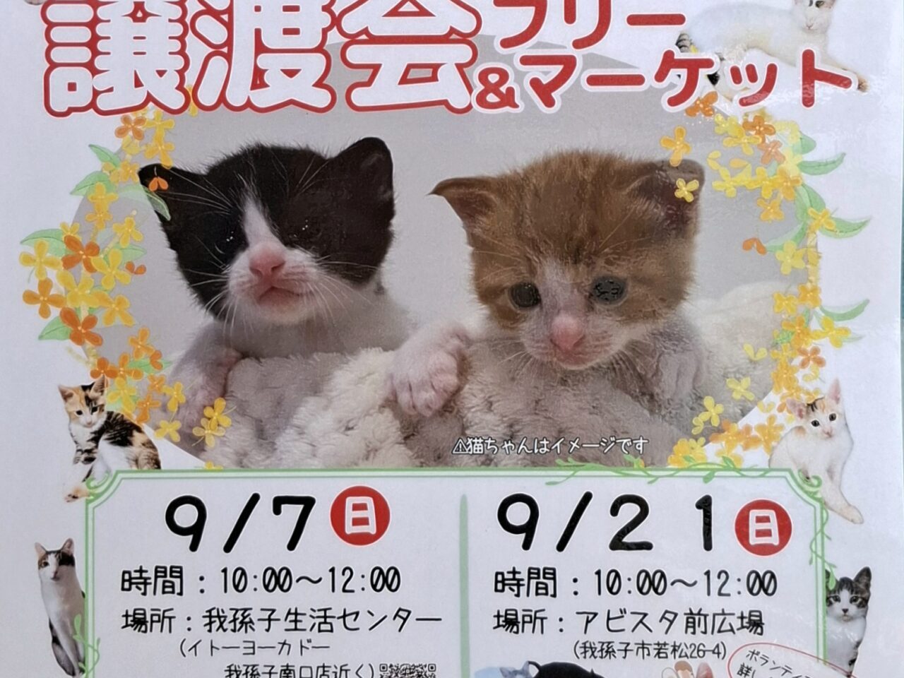 保護猫の譲渡会とフリーマーケット