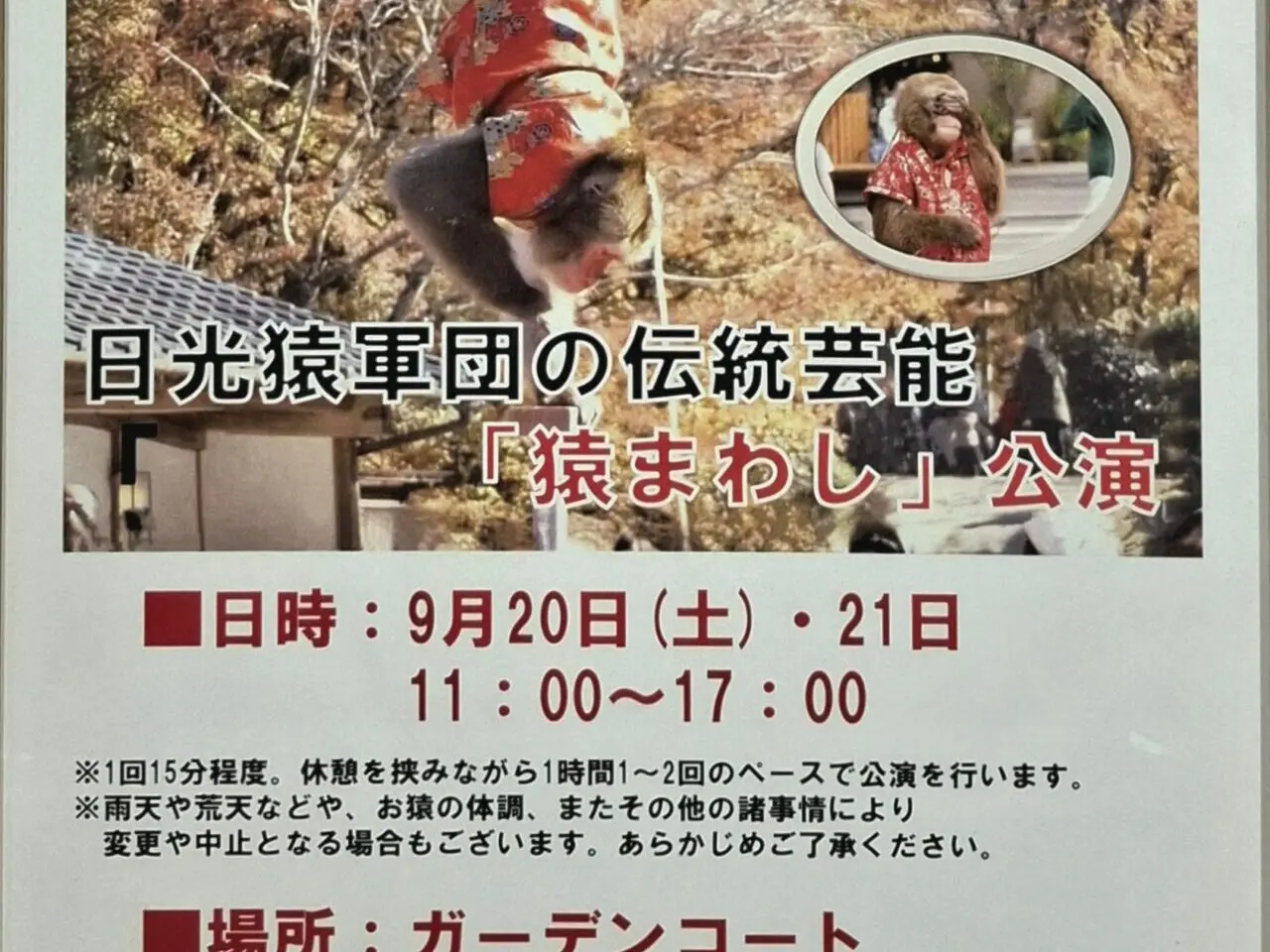 あびこショッピングプラザに日光猿軍団がやってくる！