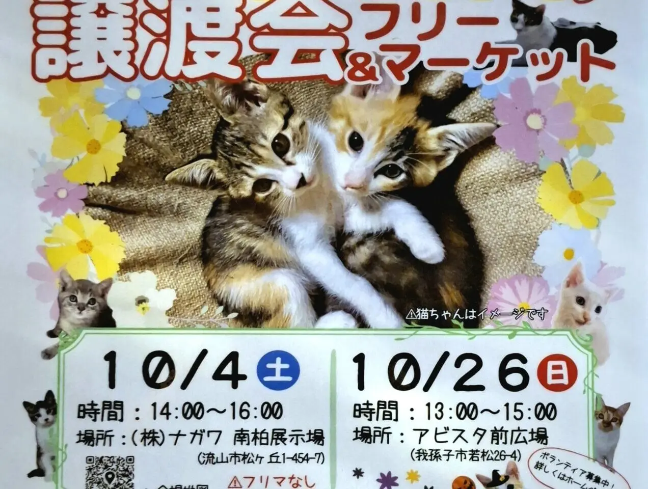 保護猫の譲渡会＆フリーマーケット