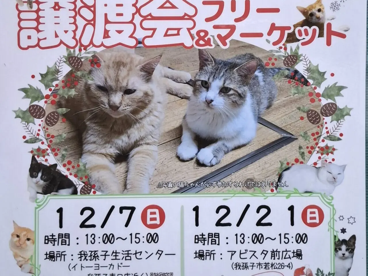 保護猫の譲渡会とフリーマケット