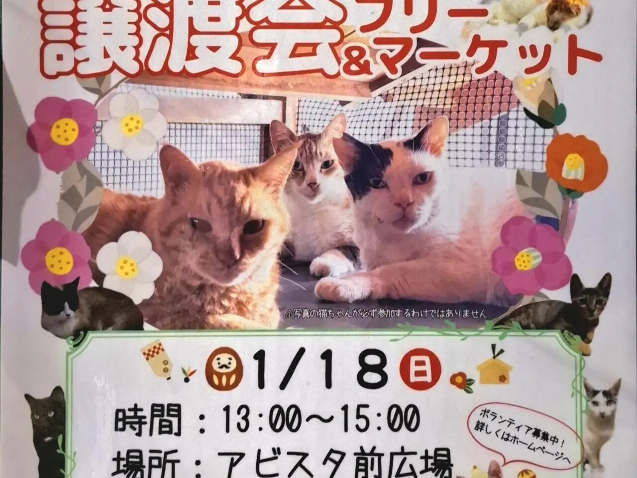 保護猫の譲渡会とフリーマーケット