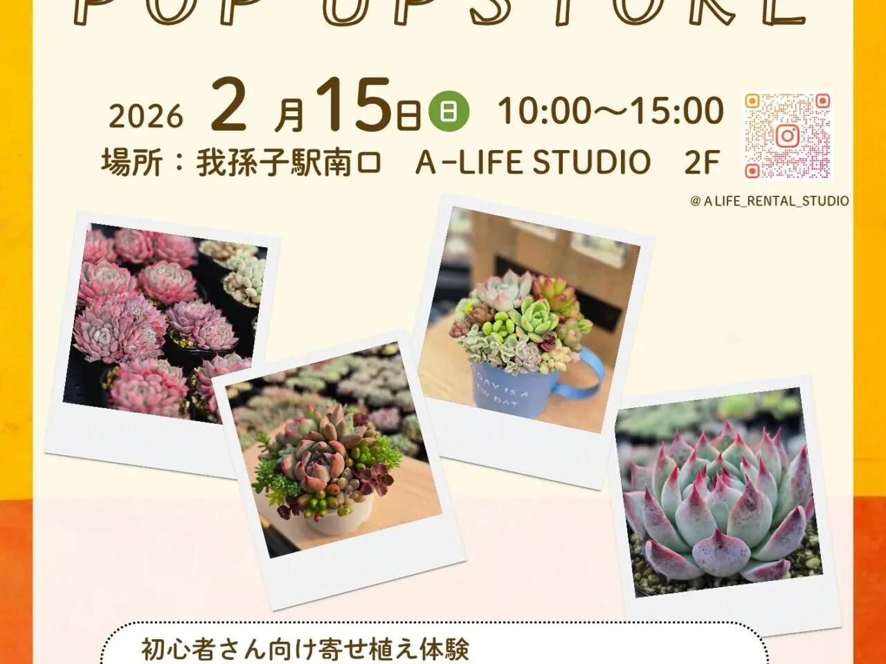 「多肉屋 a LITTLE FIELD」ポップアップ