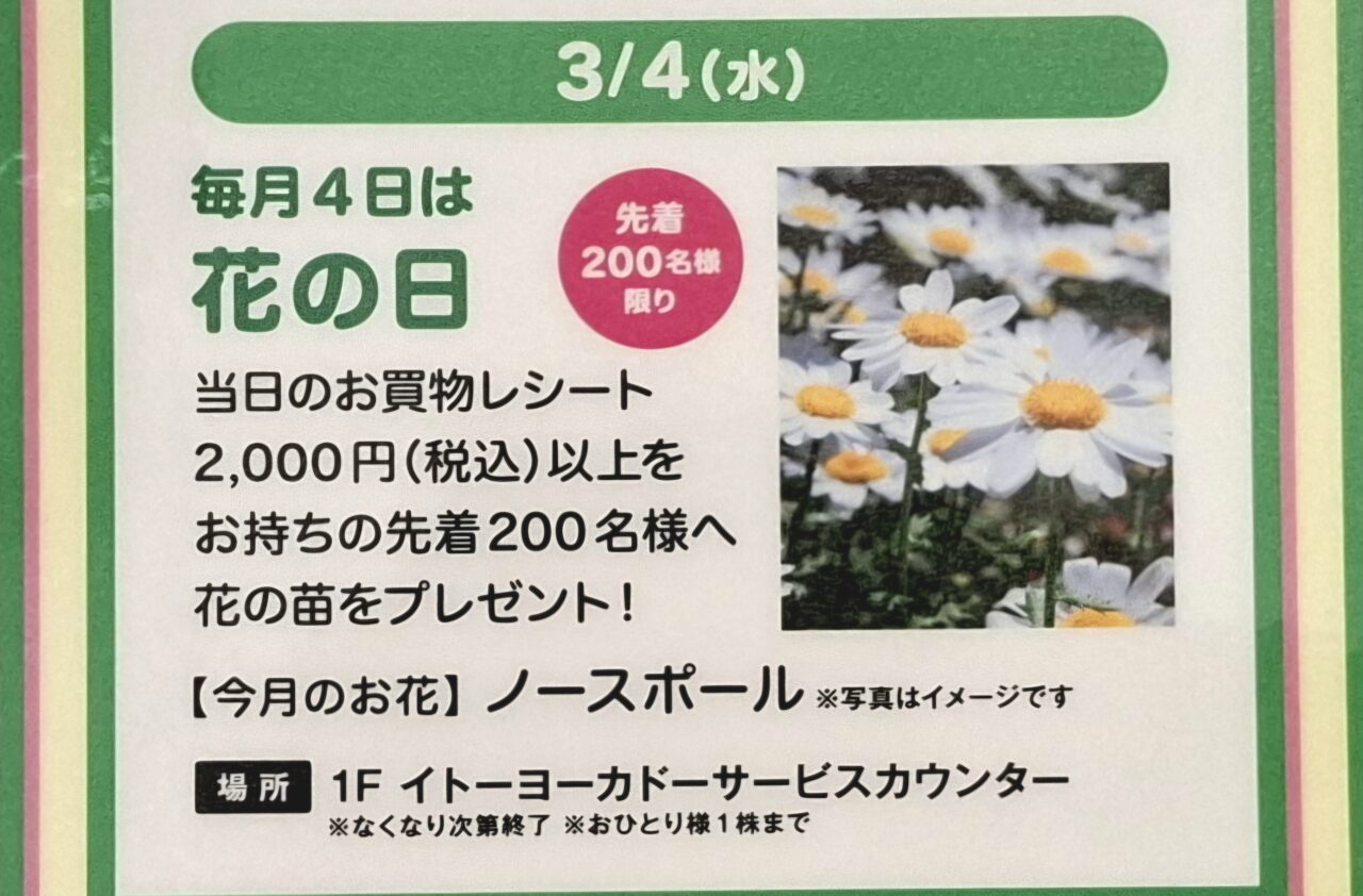 あびこショッピングプラザのお花の日