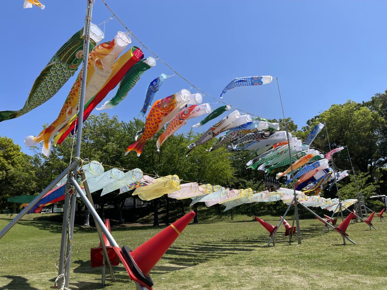 GWに開催される湖北台鯉のぼりまつり