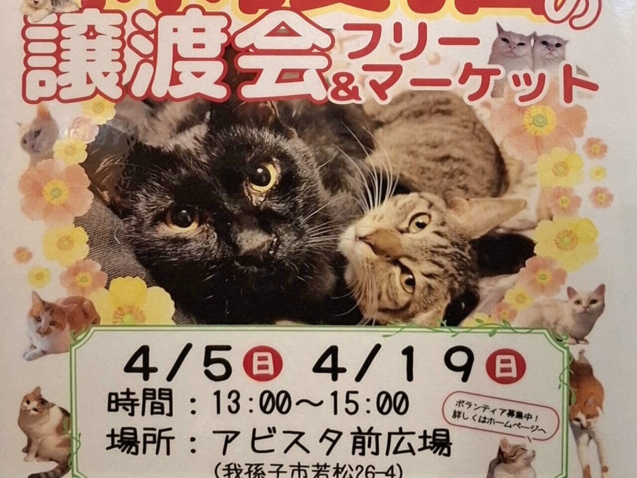 保護猫の譲渡会&フリーマーケット