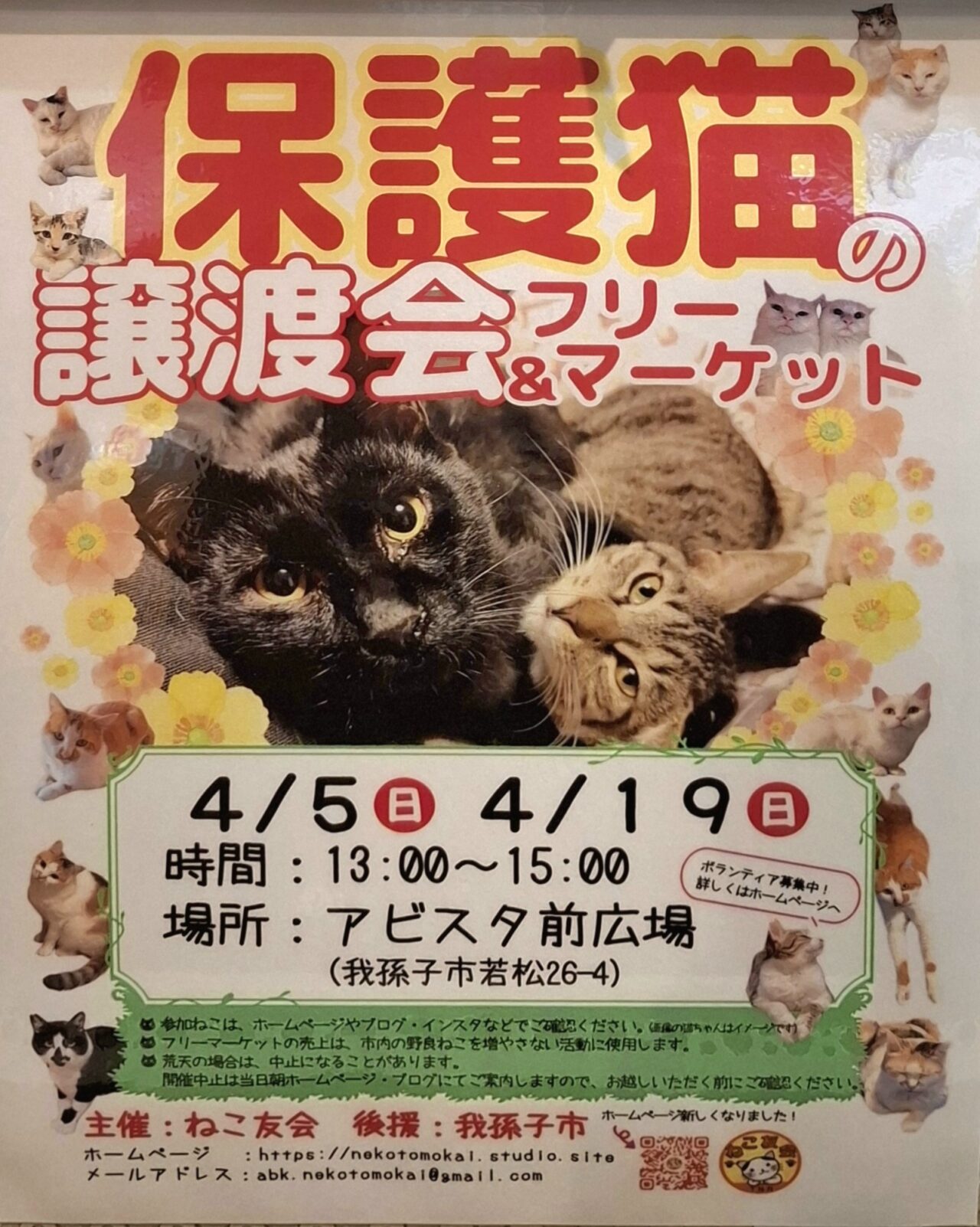 保護猫の譲渡会&フリーマーケット