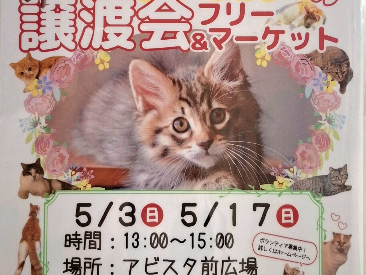 保護猫の譲渡会&フリーマーケット