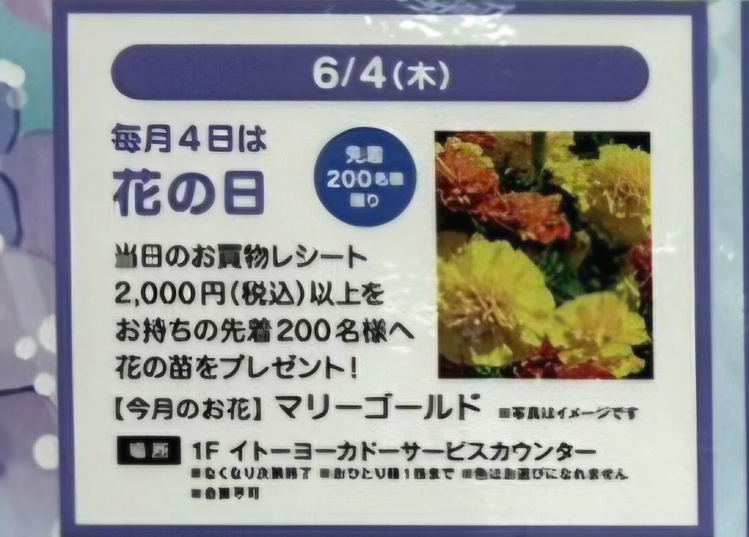 あびこショッピングプラザで開催の花の日