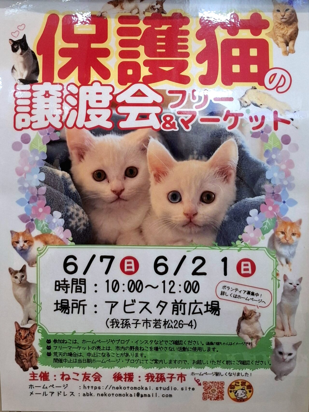 ねこ友会の｢保護猫の譲渡会とフリーマーケット｣