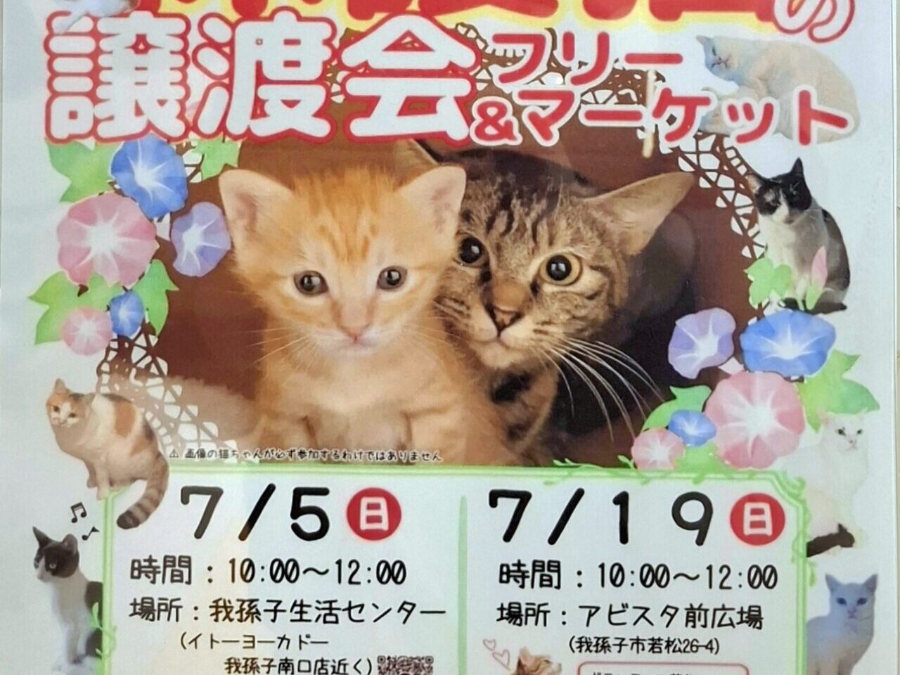 保護猫の譲渡会&フリーマーケット