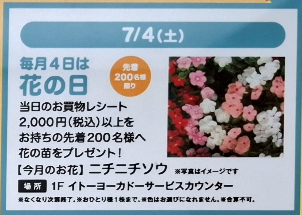 あびこショッピングプラザの花の日