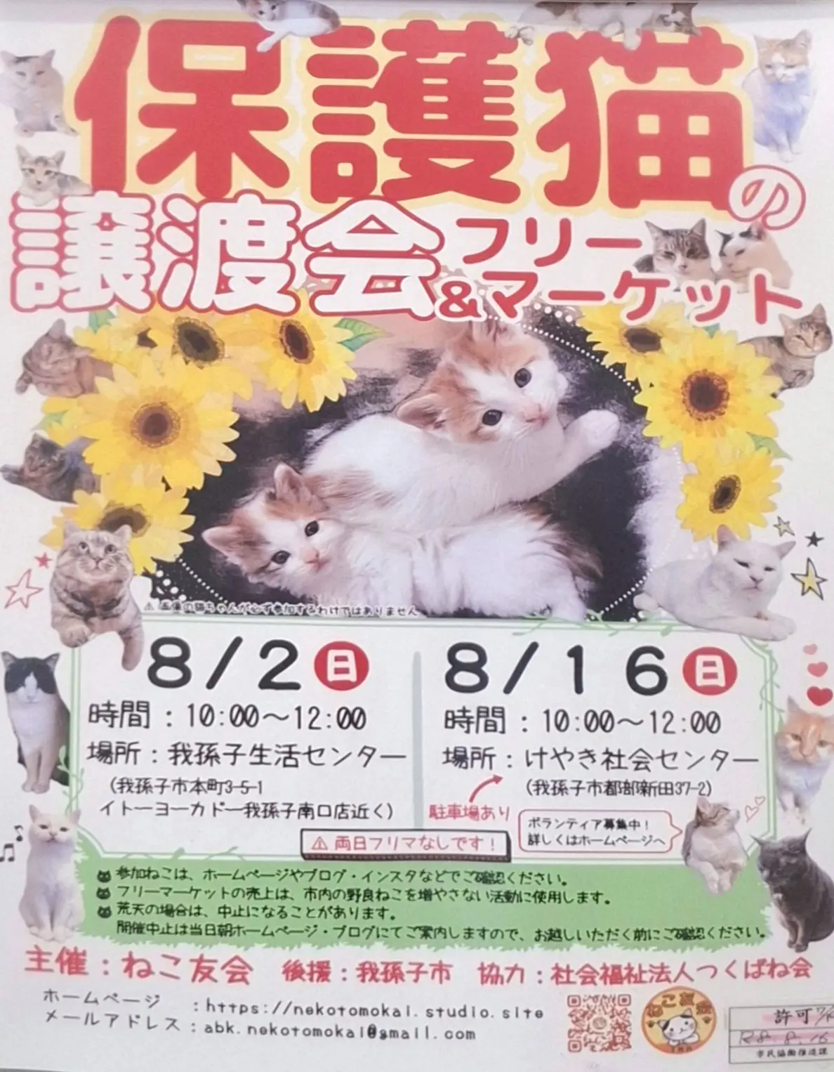 保護猫の譲渡会とフリーマーケット