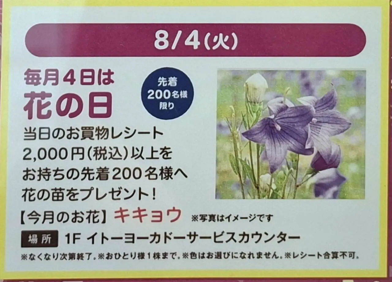 あびこショッピングプラザの花の日