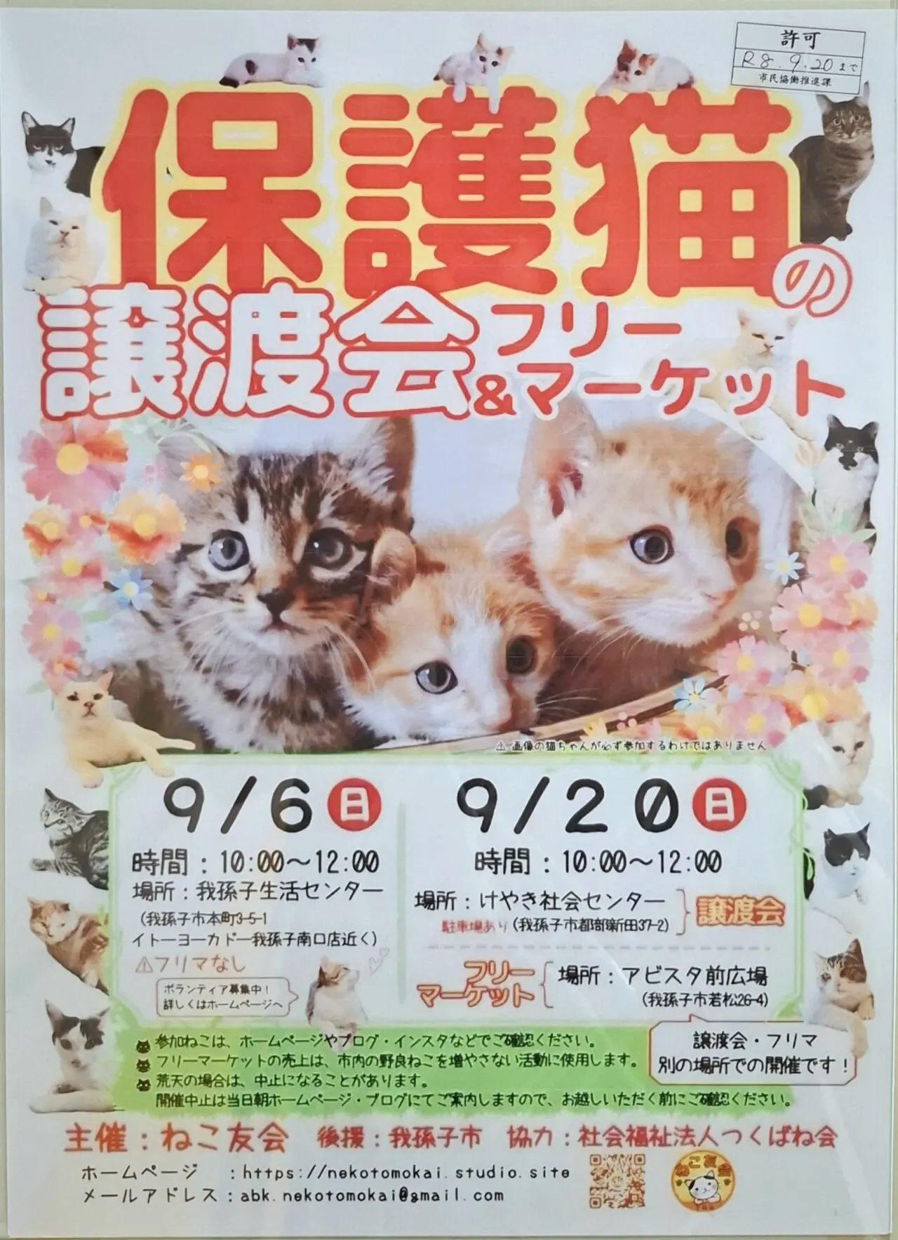 保護猫の譲渡会